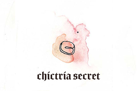 chictria secret sticker